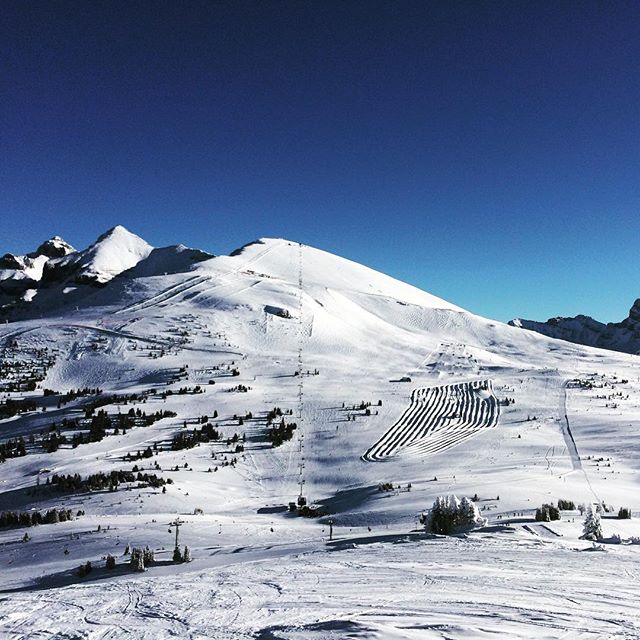 Sunshine living up to its name. It feels like spring skiing in December.